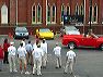 img_1429