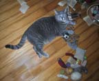 Wally's toys