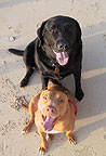 Axel & Maile