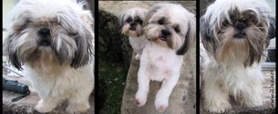 George & Lucy