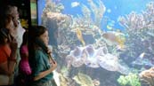 Aquarium
