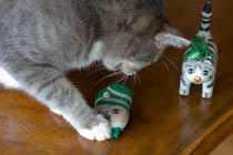 Christmas cat