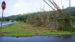 storm damage