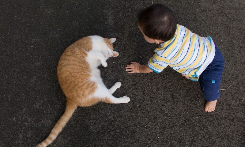 Toby and Tiger