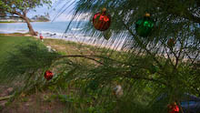 Christmas spirit