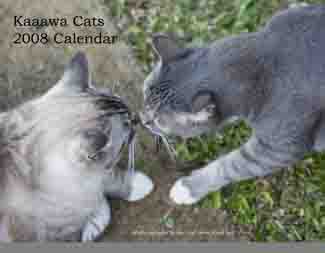 Kaaawa Cats