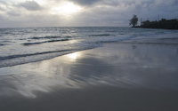 gray morning