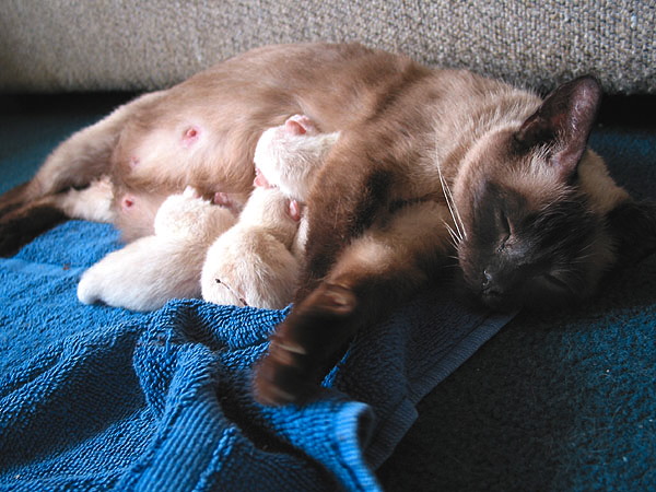 img_8357