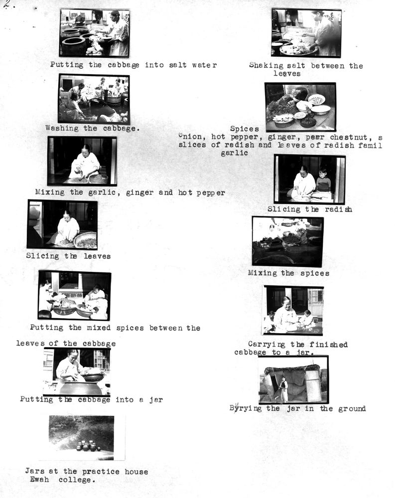 cabbage-page2.jpg