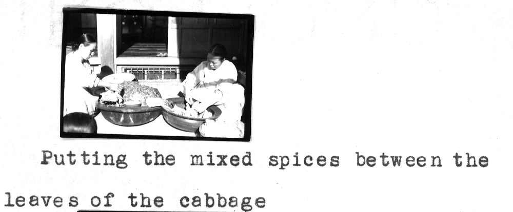 cabbage22.jpg