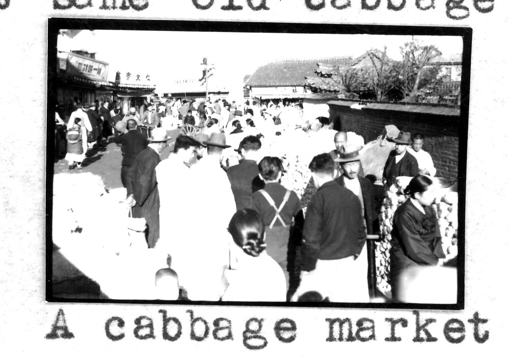 cabbage9.jpg