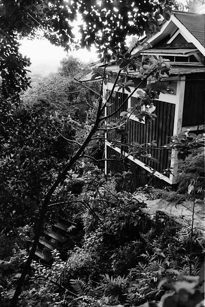 pauoa-13.jpg