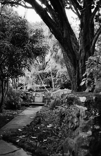 pauoa-15.jpg