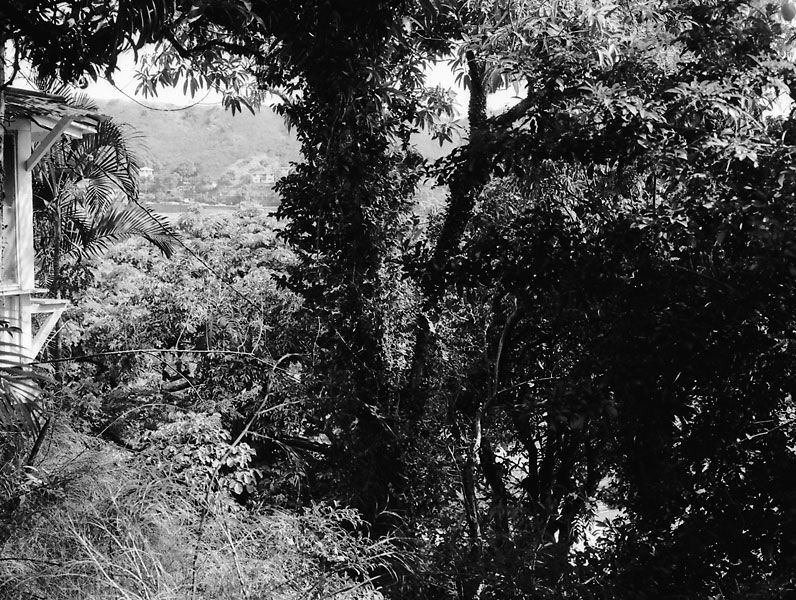 pauoa-19.jpg
