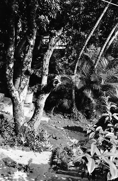 pauoa-22.jpg