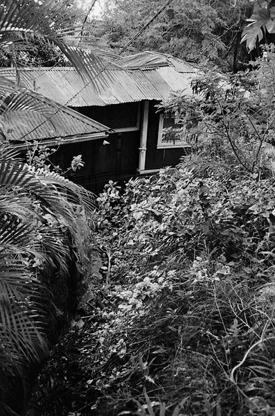 pauoa-31.jpg