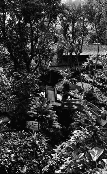 pauoa-7.jpg