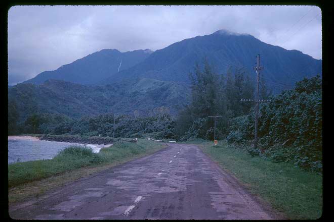 road1.jpg