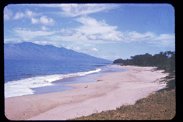 maui10.jpg