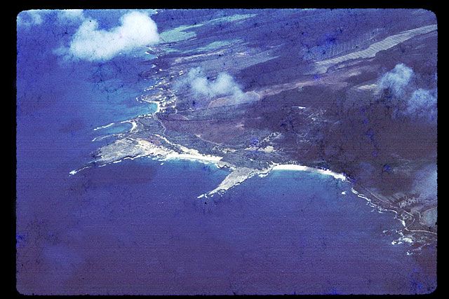maui2.jpg