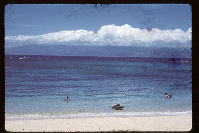 maui3.jpg