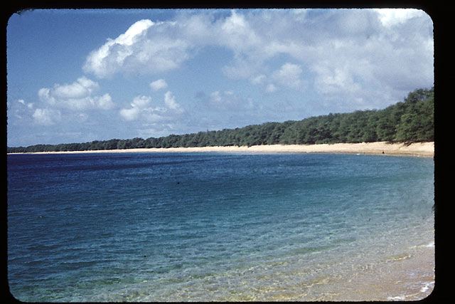 maui4.jpg