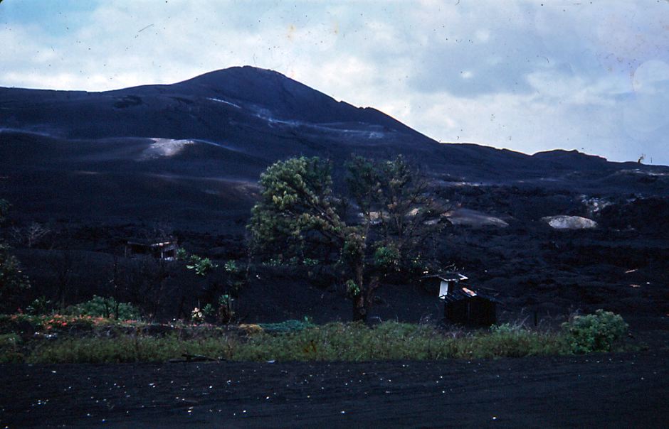 puna-16.jpg