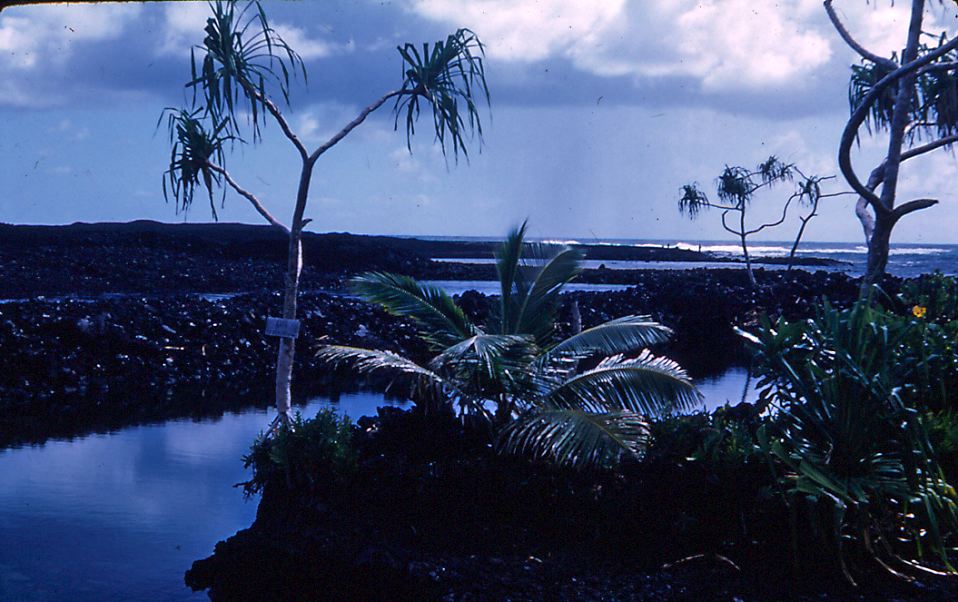 puna-17.jpg