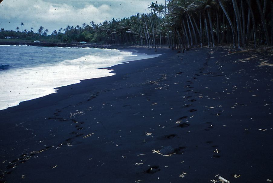 puna-23.jpg