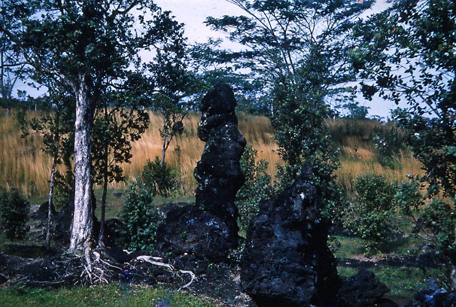 puna-26.jpg