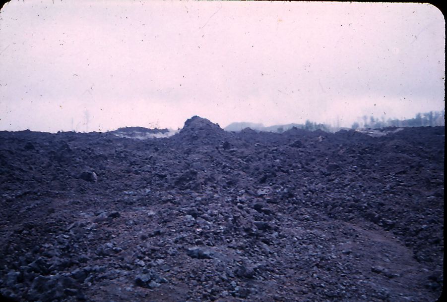puna-7.jpg