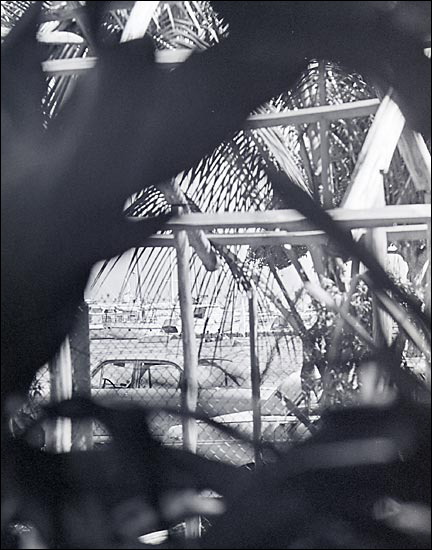 ulu-mau-6.jpg