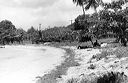 vieques-3-012