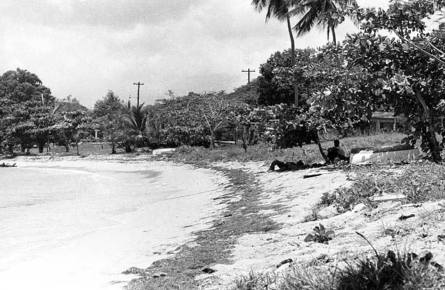 vieques-3-012.jpg