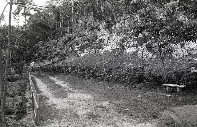 vieques-4-022.jpg