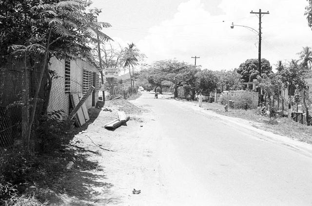 vieques-5-035.jpg