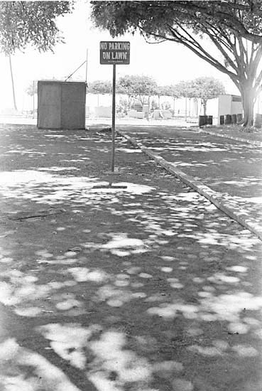 waikiki-6.jpg