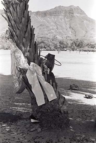 waikiki-7.jpg