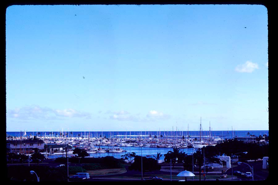 waikiki67-4.jpg