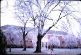 winter1965-5
