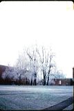 winter1965-6