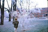 winter1965-8