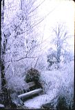 winter1965-9