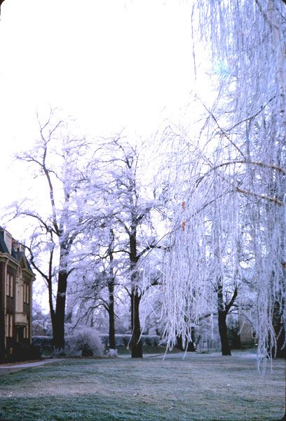 winter1965-3.jpg