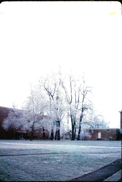 winter1965-6.jpg