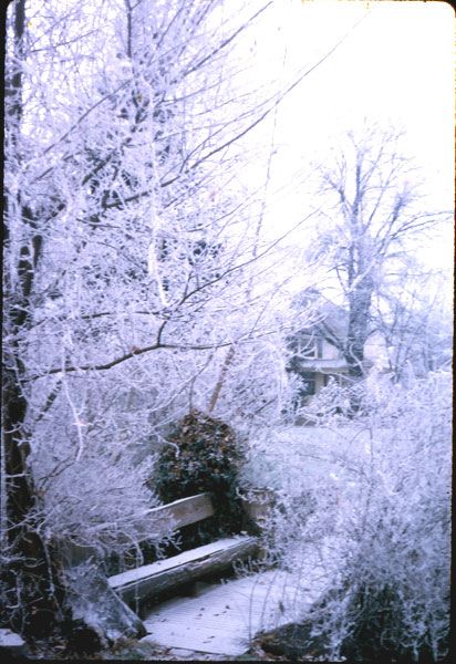 winter1965-9.jpg